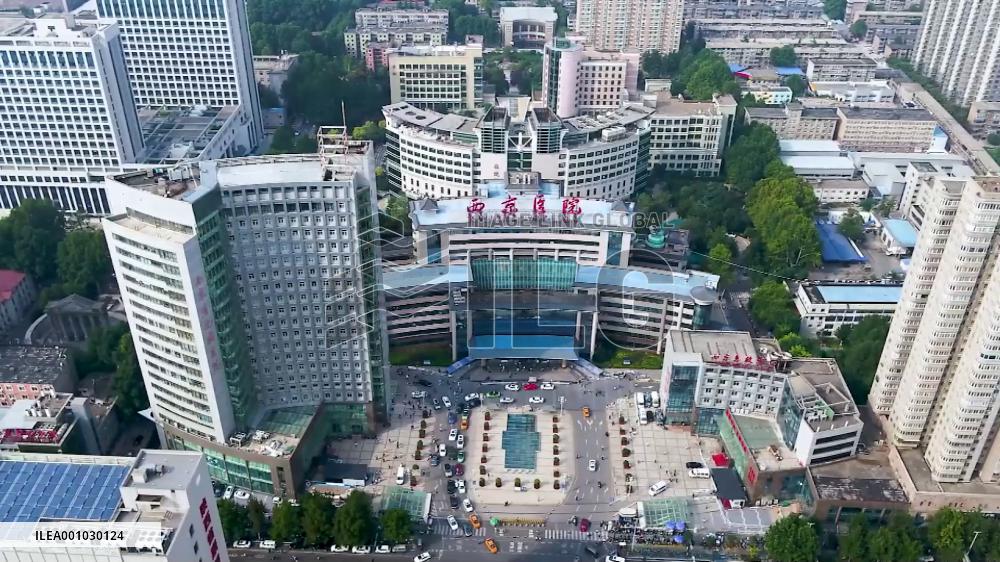 Researchers transplant pig organs, tissue in monkeys in China's Xi'an