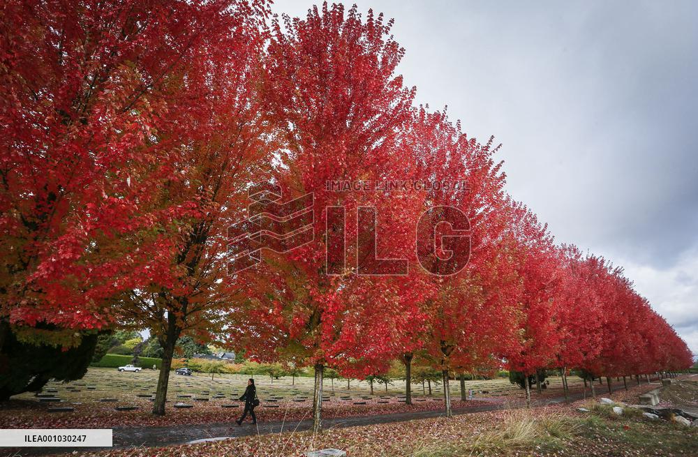 CANADA-VANCOUVER-AUTUMN SCENERY