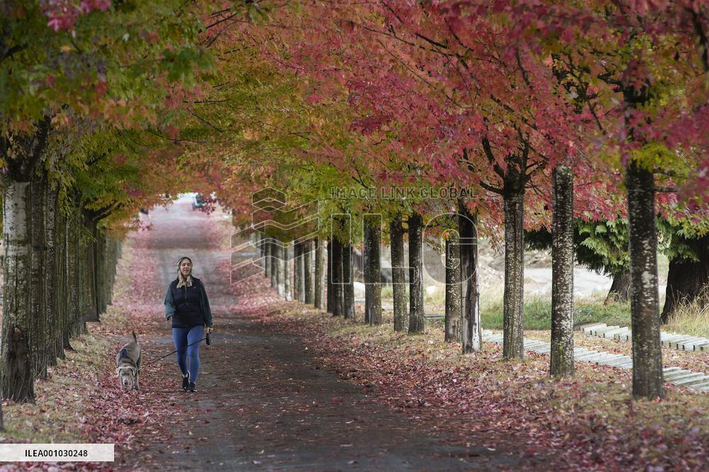 CANADA-VANCOUVER-AUTUMN SCENERY