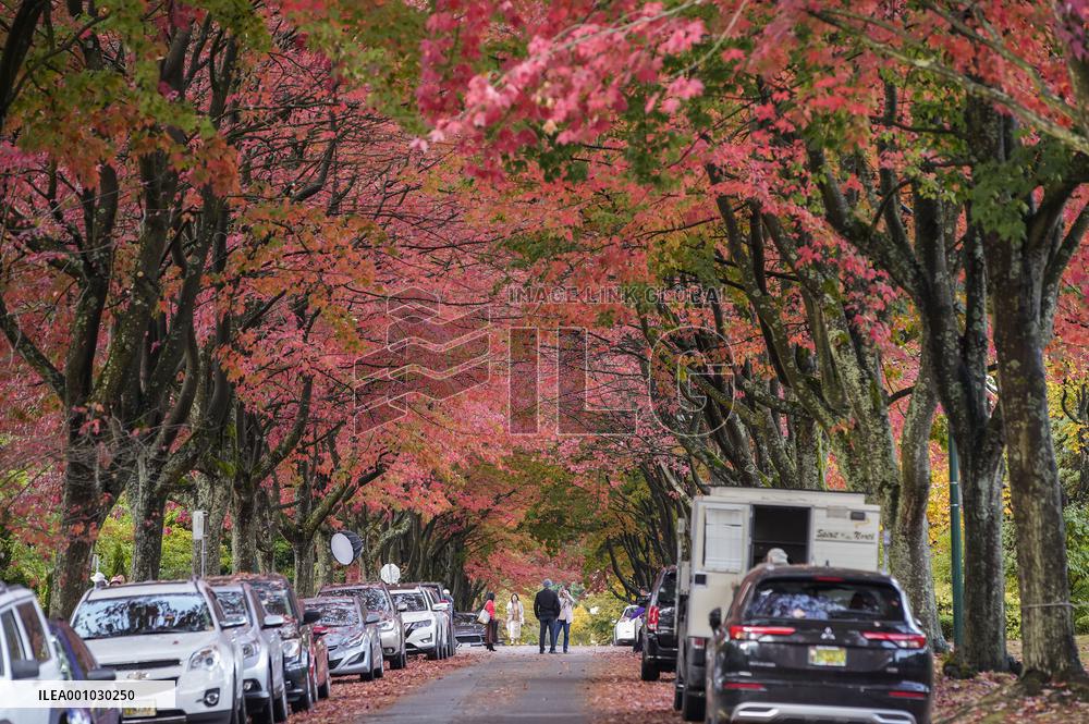 CANADA-VANCOUVER-AUTUMN SCENERY