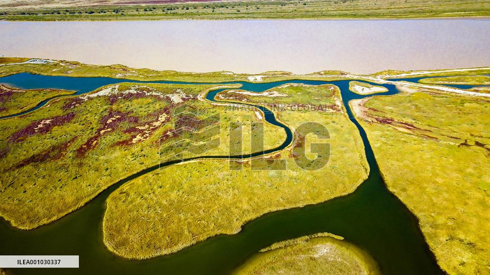 CHINA-SHANDONG-YELLOW RIVER DELTA WETLAND-SCENERY (CN)