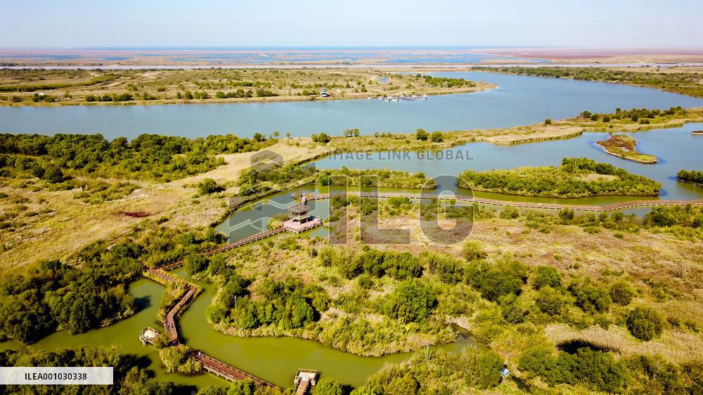 CHINA-SHANDONG-YELLOW RIVER DELTA WETLAND-SCENERY (CN)