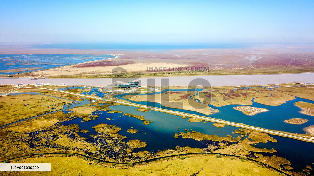 CHINA-SHANDONG-YELLOW RIVER DELTA WETLAND-SCENERY (CN)