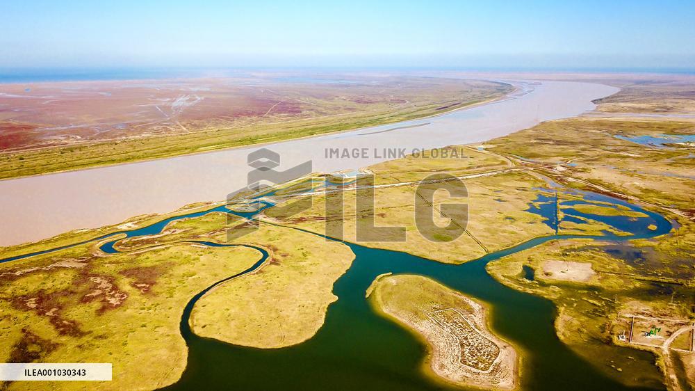 CHINA-SHANDONG-YELLOW RIVER DELTA WETLAND-SCENERY (CN)