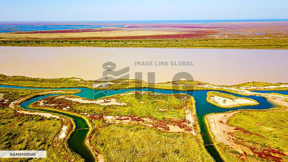 CHINA-SHANDONG-YELLOW RIVER DELTA WETLAND-SCENERY (CN)