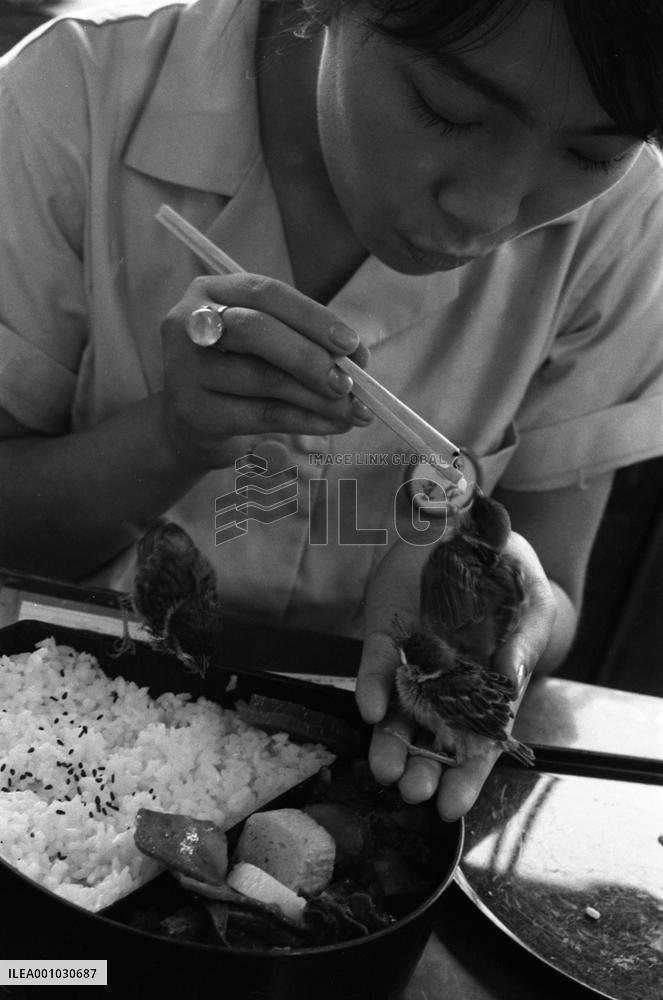 Atomic Bomb Dome in Hiroshima