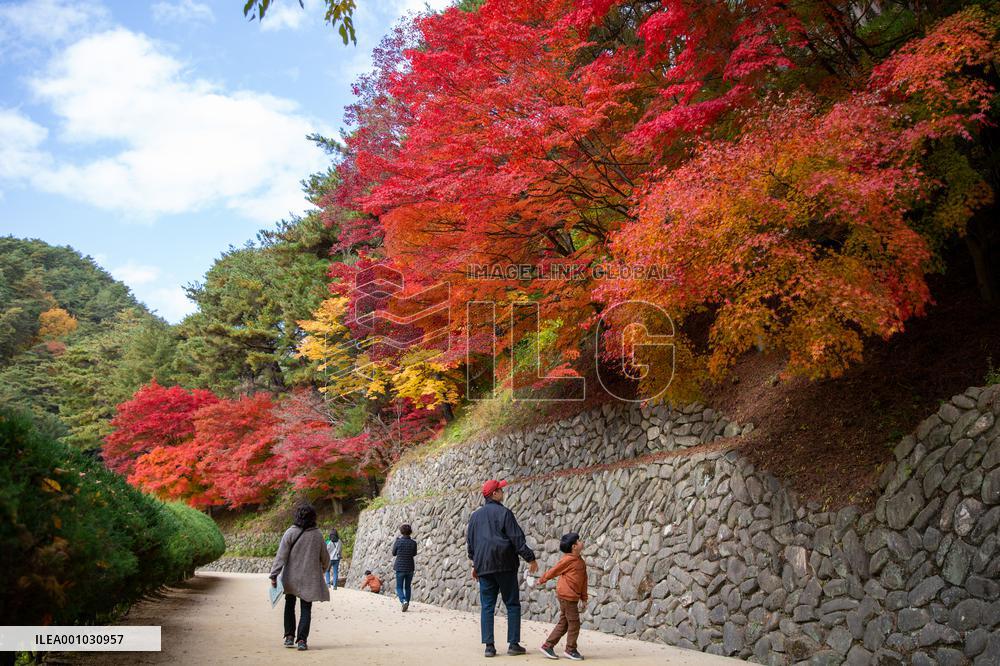 SOUTH KOREA-ANDONG-AUTUMN SCENERY