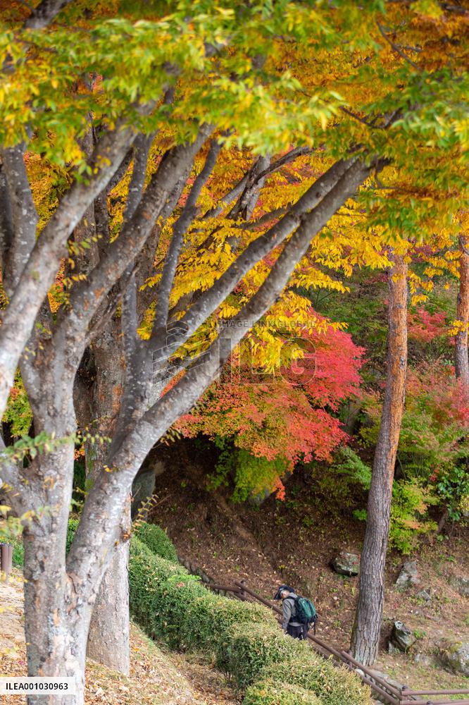 SOUTH KOREA-ANDONG-AUTUMN SCENERY