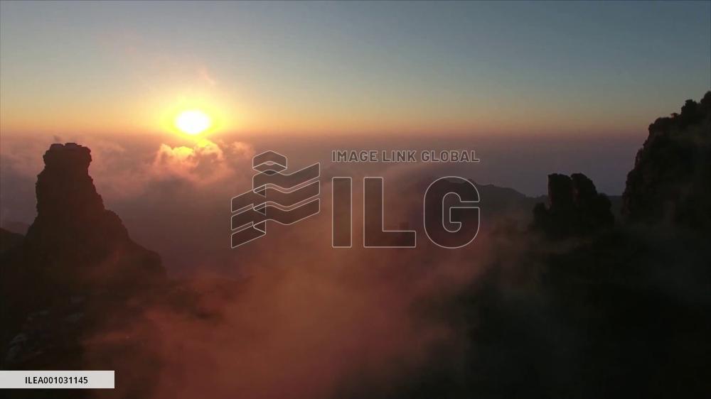 China's green transition has positive impact on global trade: Danish expert