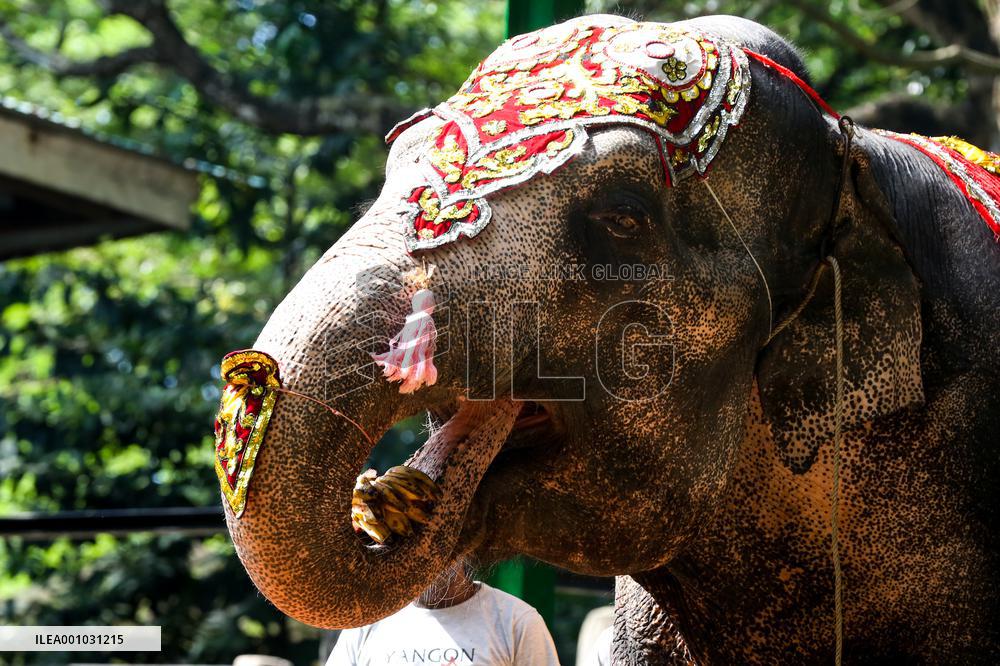 MYANMAR-YANGON-ELEPHANT-BIRTHDAY