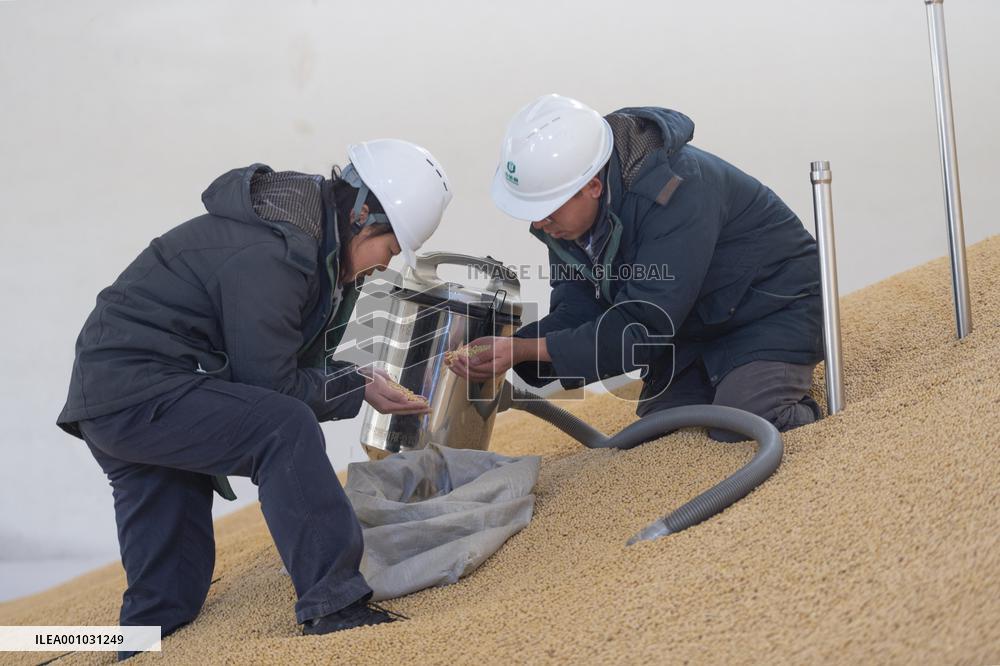 CHINA-HEILONGJIANG-AUTUMN GRAIN PURCHASING (CN)