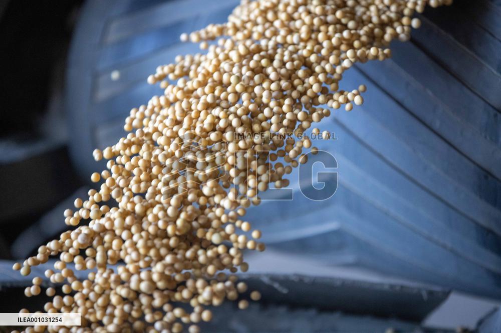 CHINA-HEILONGJIANG-AUTUMN GRAIN PURCHASING (CN)