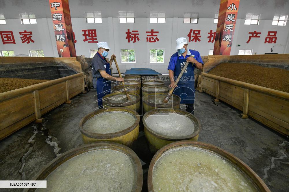CHINA-GUIZHOU-CHISHUI-VINEGAR MAKING (CN)