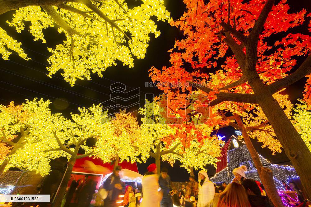 CANADA-MISSISSAUGA-LIGHT SHOW