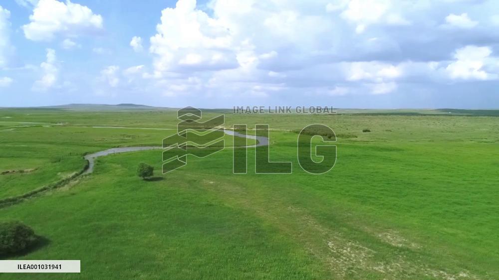 China has come far in green transition: Danish expert