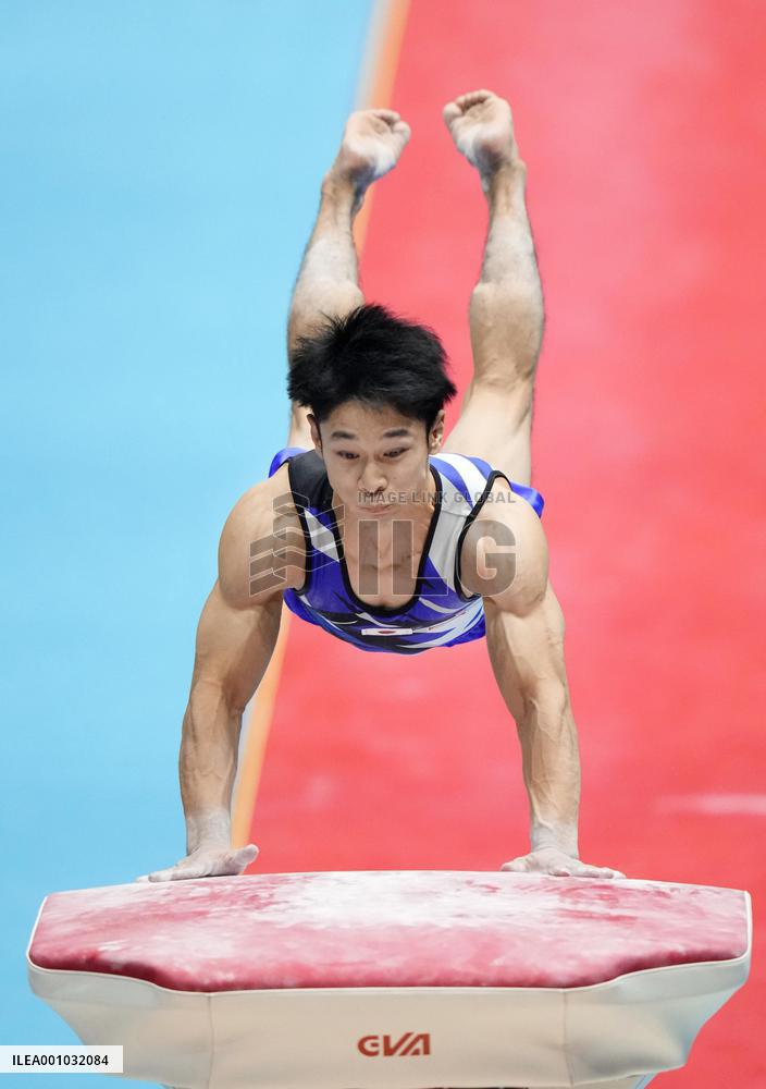 Artistic gymnastics: world championships