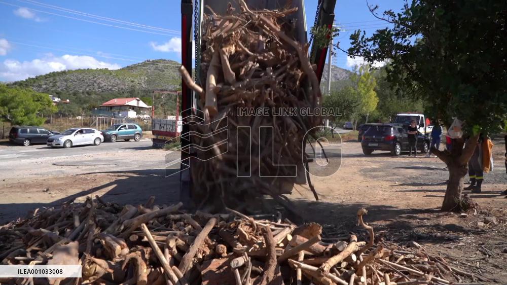 Greeks queue for free firewood
