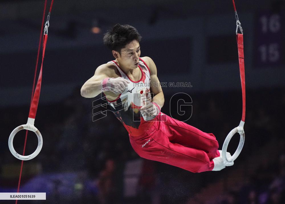 Artistic gymnastics: world championships