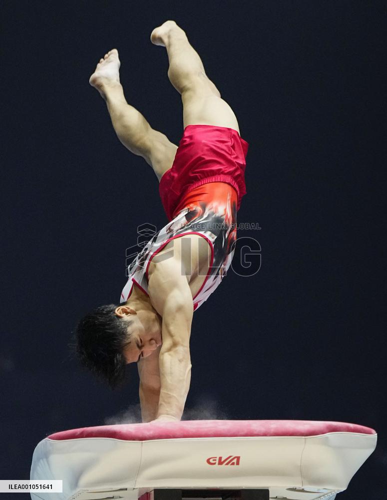 Artistic gymnastics: world championships
