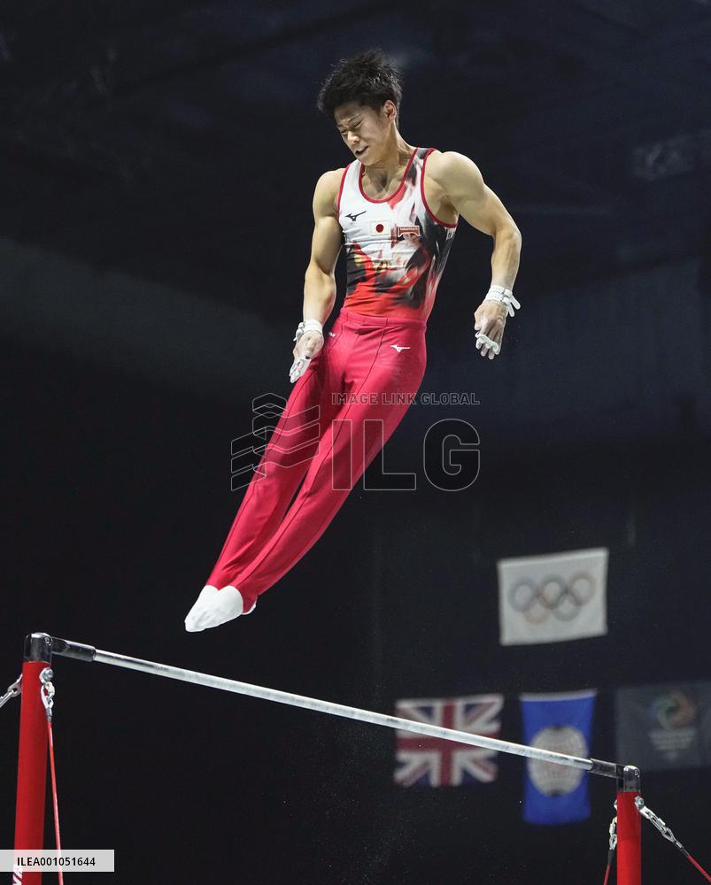 Artistic gymnastics: world championships