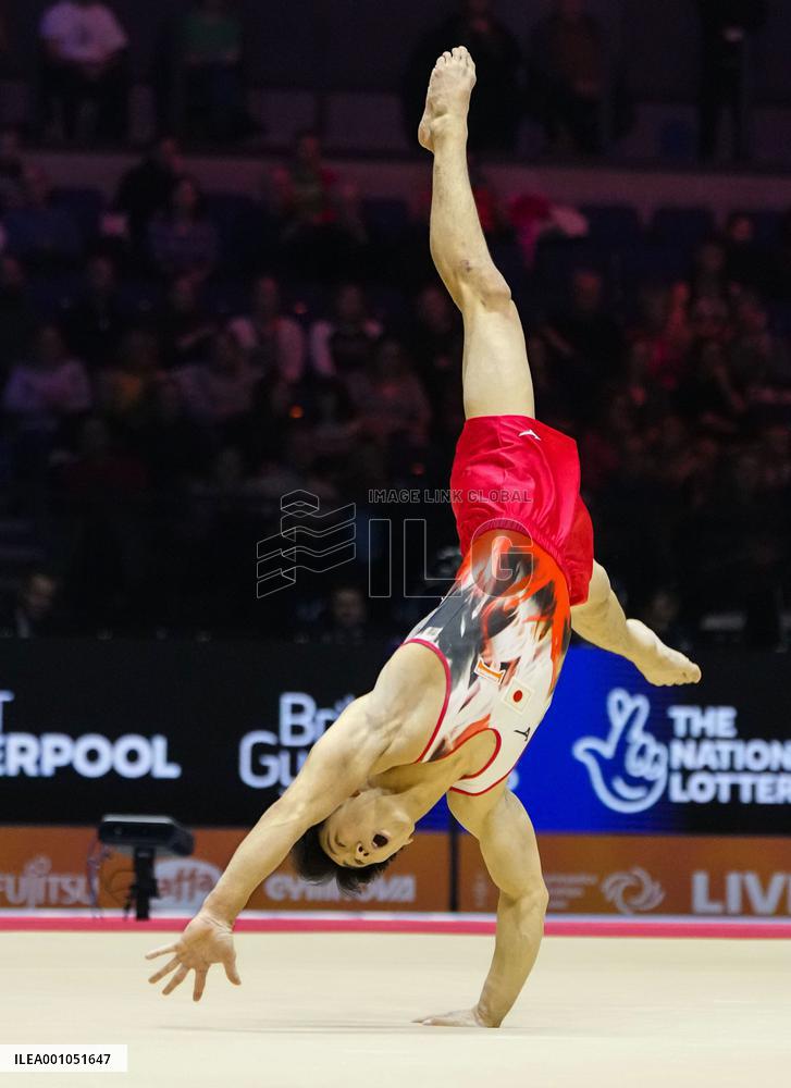 Artistic gymnastics: world championships