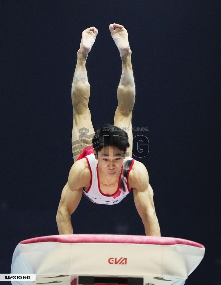 Artistic gymnastics: world championships