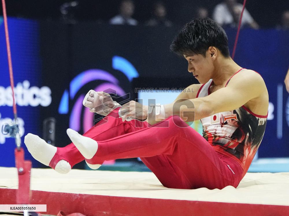 Artistic gymnastics: world championships
