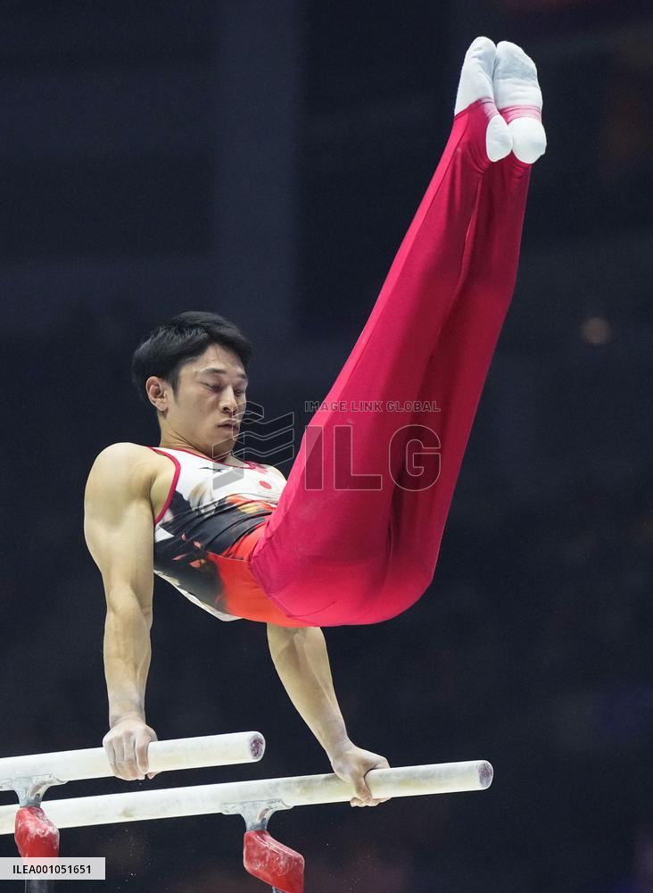 Artistic gymnastics: world championships