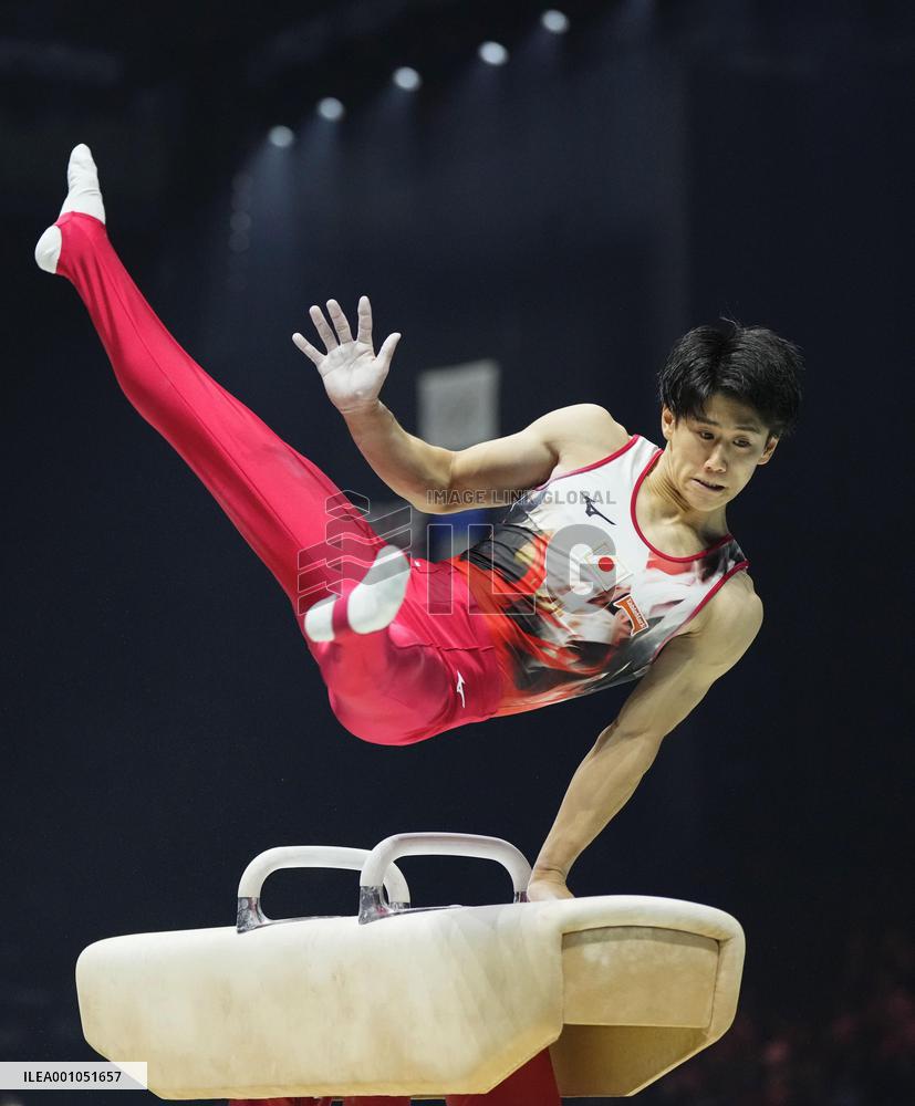Artistic gymnastics: world championships