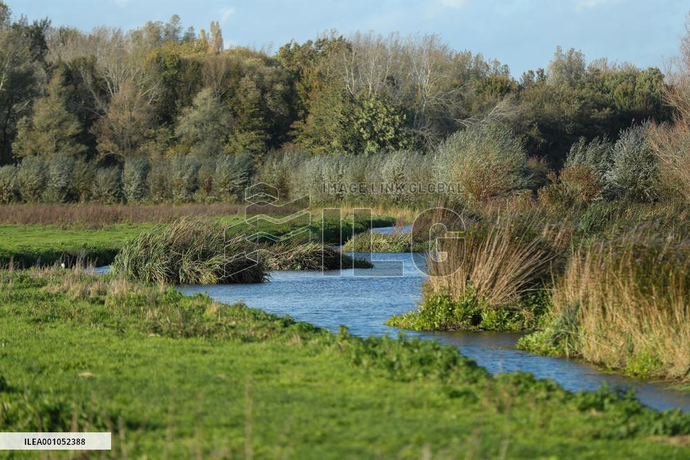 THE NETHERLANDS-ENVIRONMENT-BIESBOSCH NATIONAL PARK