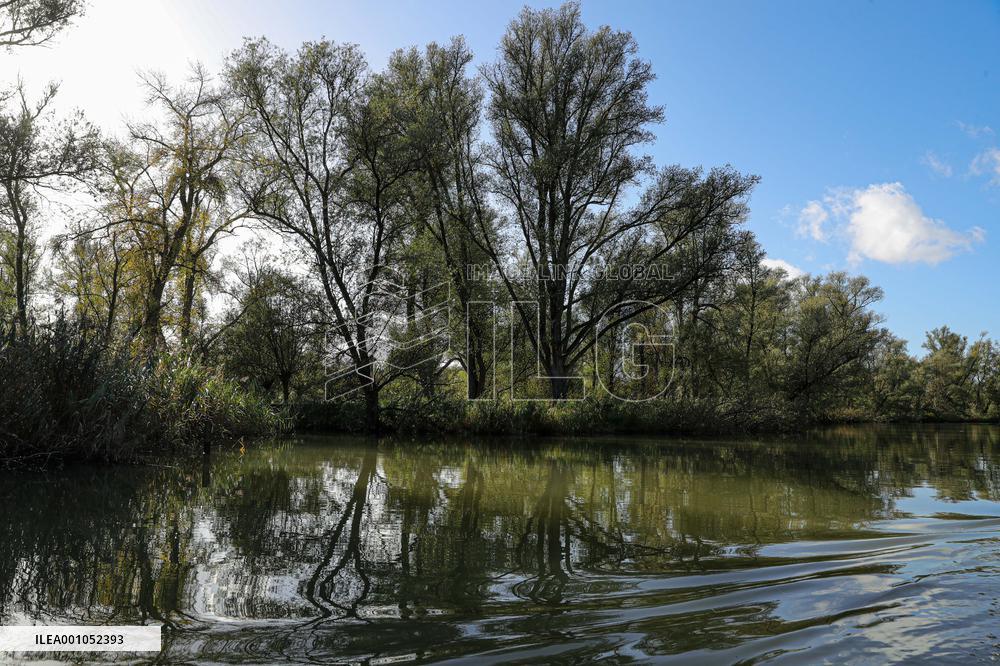 THE NETHERLANDS-ENVIRONMENT-BIESBOSCH NATIONAL PARK