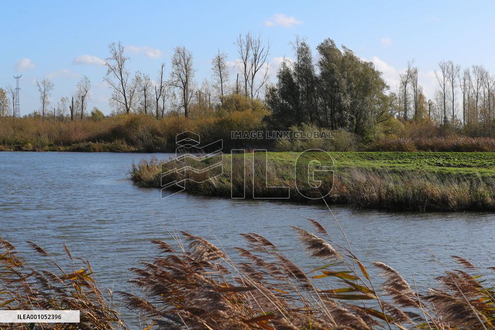 THE NETHERLANDS-ENVIRONMENT-BIESBOSCH NATIONAL PARK