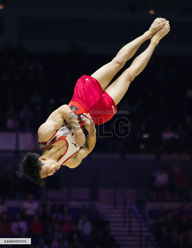 Artistic gymnastics: world championships