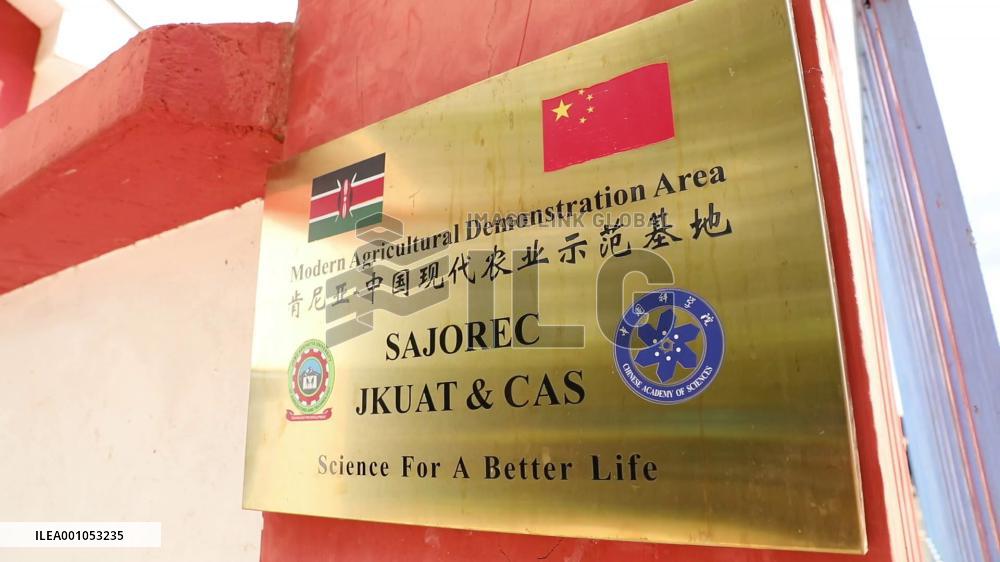 Chinese, Kenyan scientists unveil inaugural harvest of high-yielding maize variety