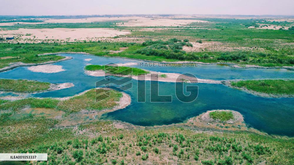 CHINA-XINJIANG-WETLANDS-SCENERY (CN)