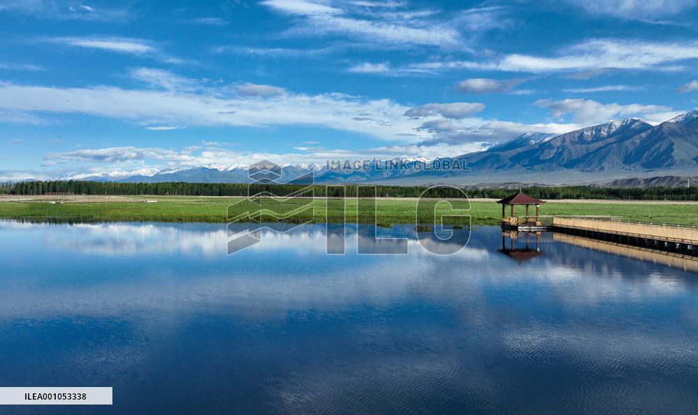 CHINA-XINJIANG-WETLANDS-SCENERY (CN)