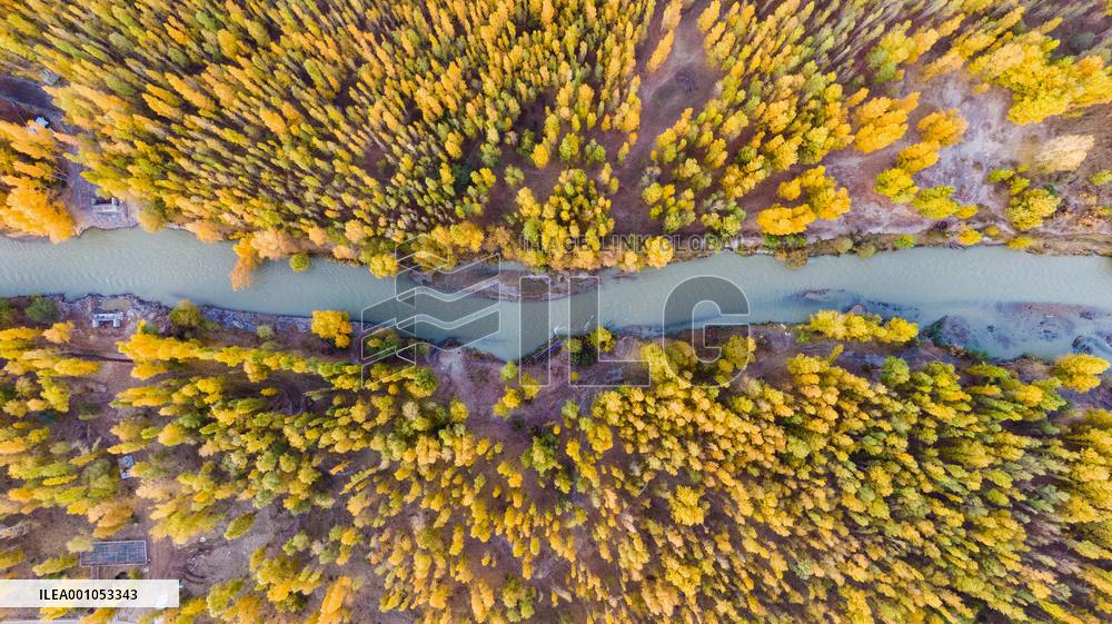 CHINA-XINJIANG-WETLANDS-SCENERY (CN)