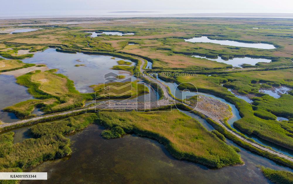 CHINA-XINJIANG-WETLANDS-SCENERY (CN)