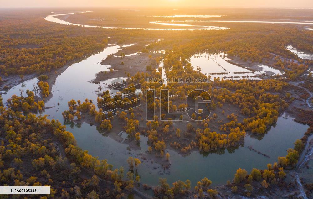 CHINA-XINJIANG-WETLANDS-SCENERY (CN)