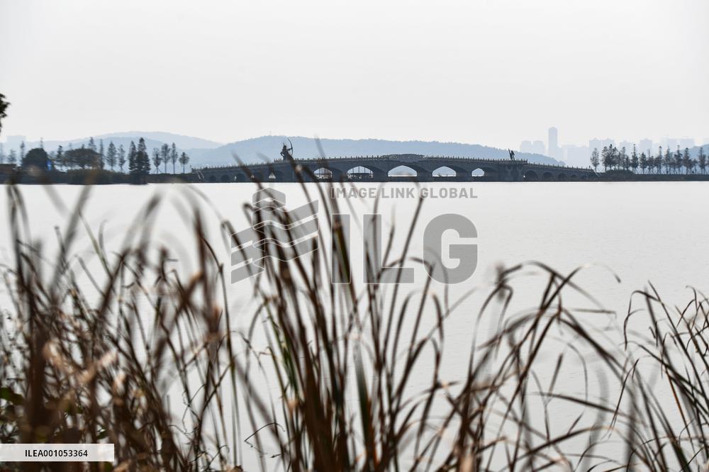 CHINA-HUBEI-WUHAN-WETLAND (CN)