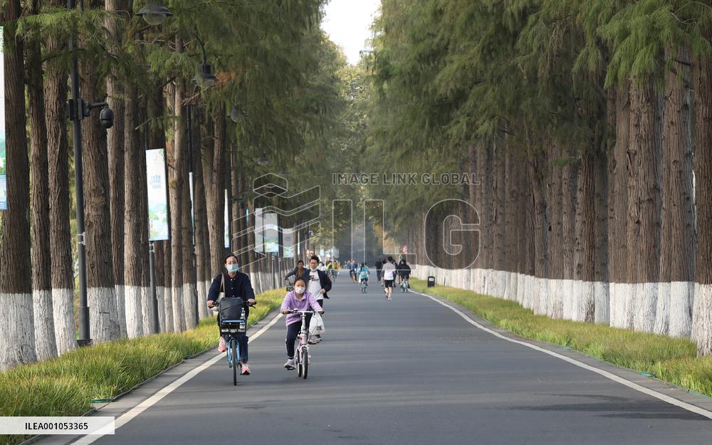 CHINA-HUBEI-WUHAN-WETLAND (CN)