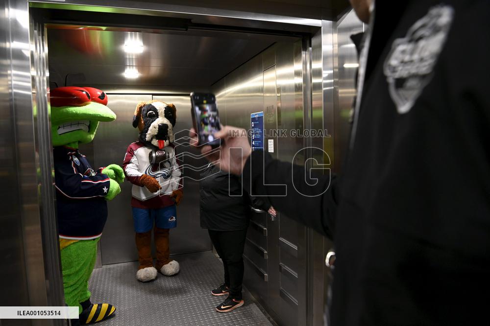 NHL match Colorado Avalanche vs Columbus Blue Jackets