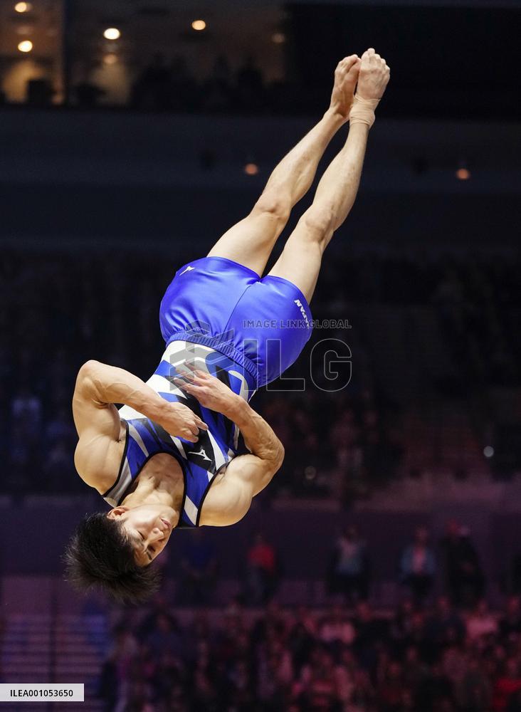 Artistic gymnastics: world championships