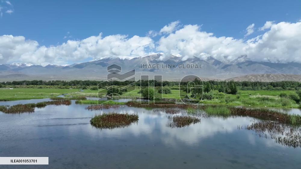 Wondrous wetlands of China's Xinjiang
