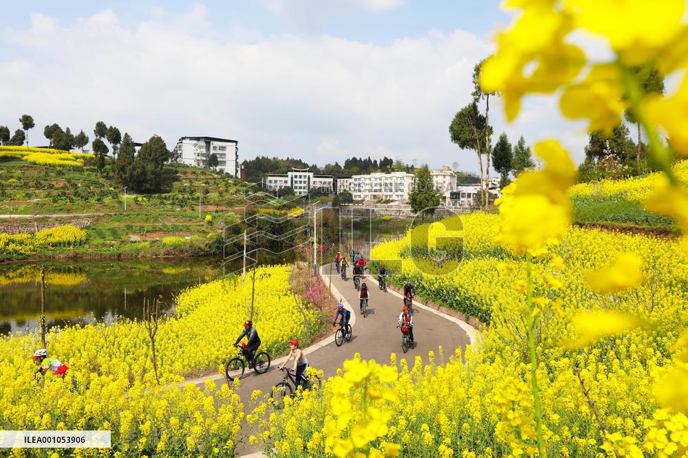 Xinhua Headlines: China progressing in wetlands conservation for high-quality development