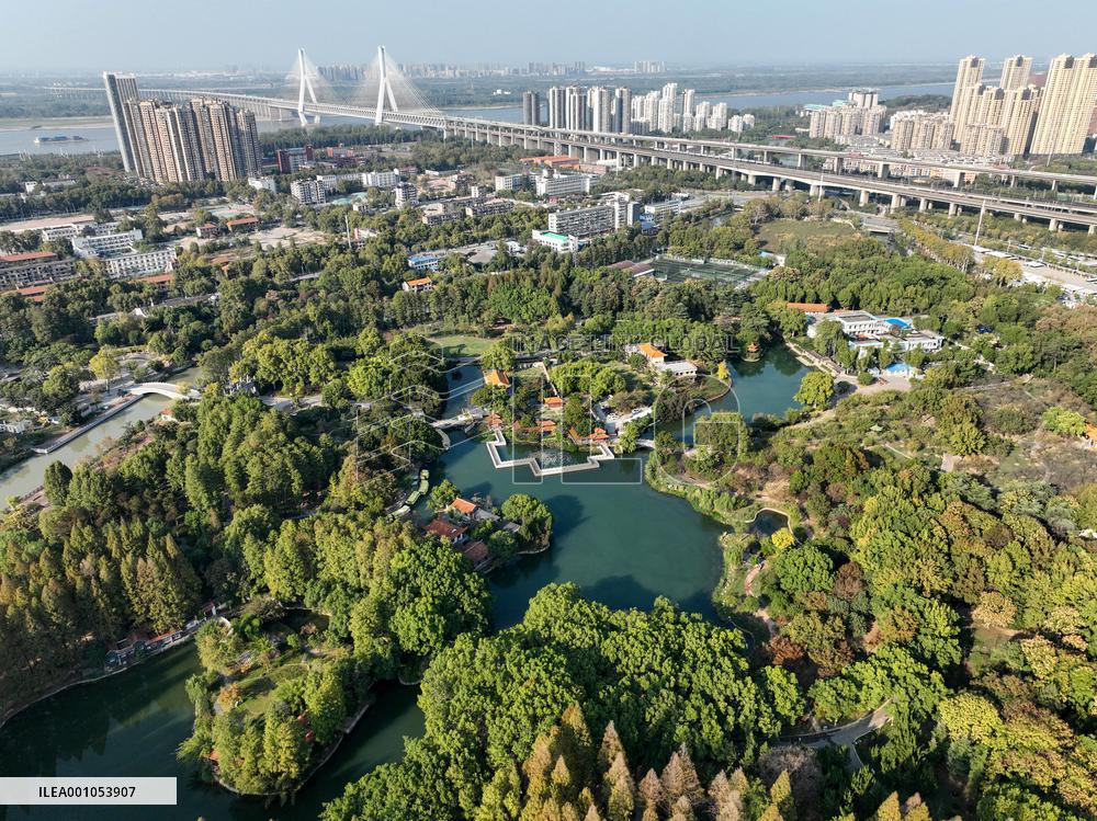 Xinhua Headlines: China progressing in wetlands conservation for high-quality development