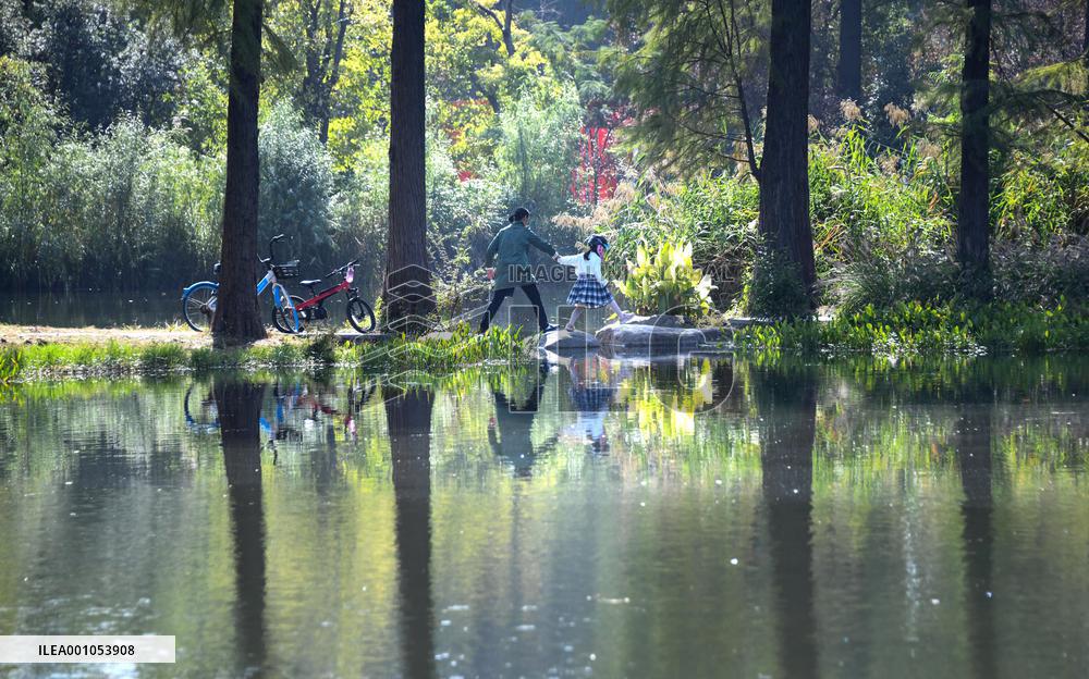 Xinhua Headlines: China progressing in wetlands conservation for high-quality development
