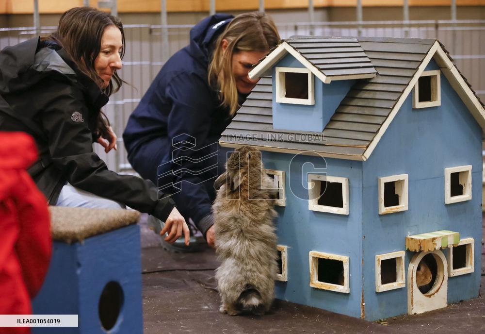 CANADA-VANCOUVER-PET LOVER SHOW