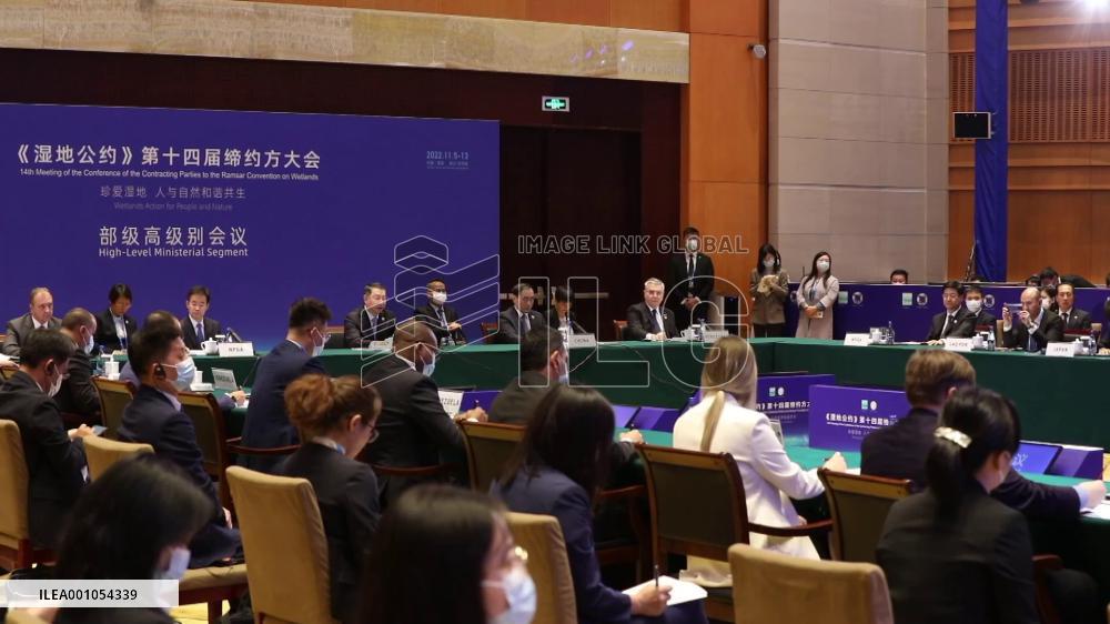 Int'l experts praise China's efforts, achievements in restoring wetlands