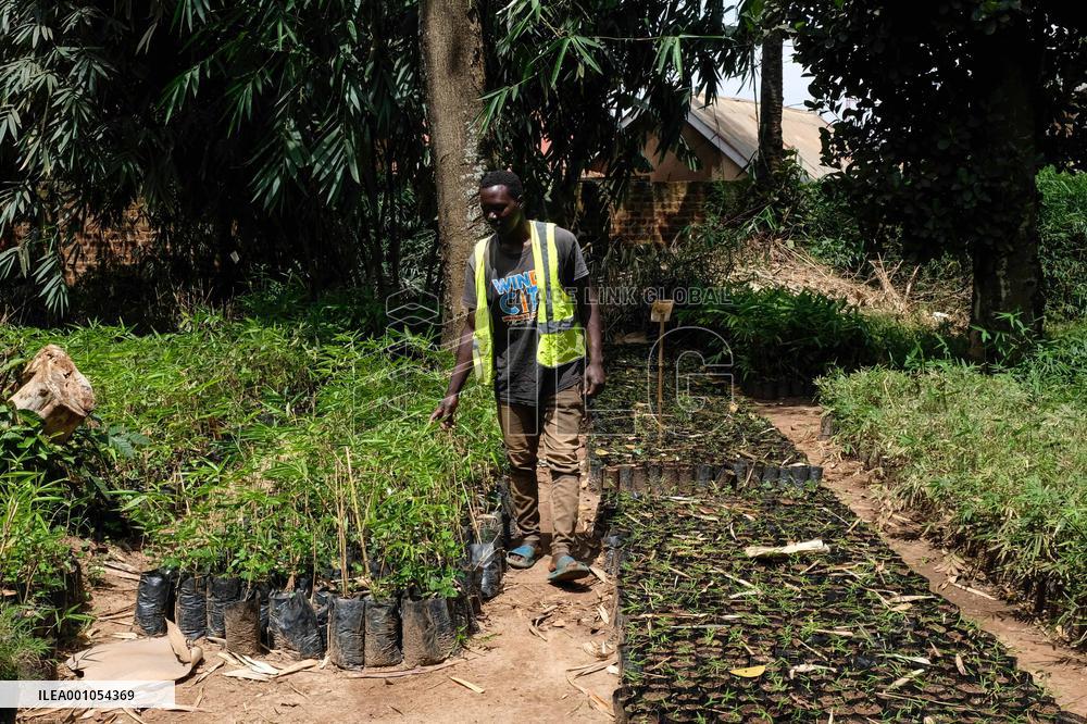 UGANDA-KAMPALA-BAMBOO ASSOCIATION